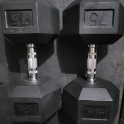 75lbs Dumbells Weights 