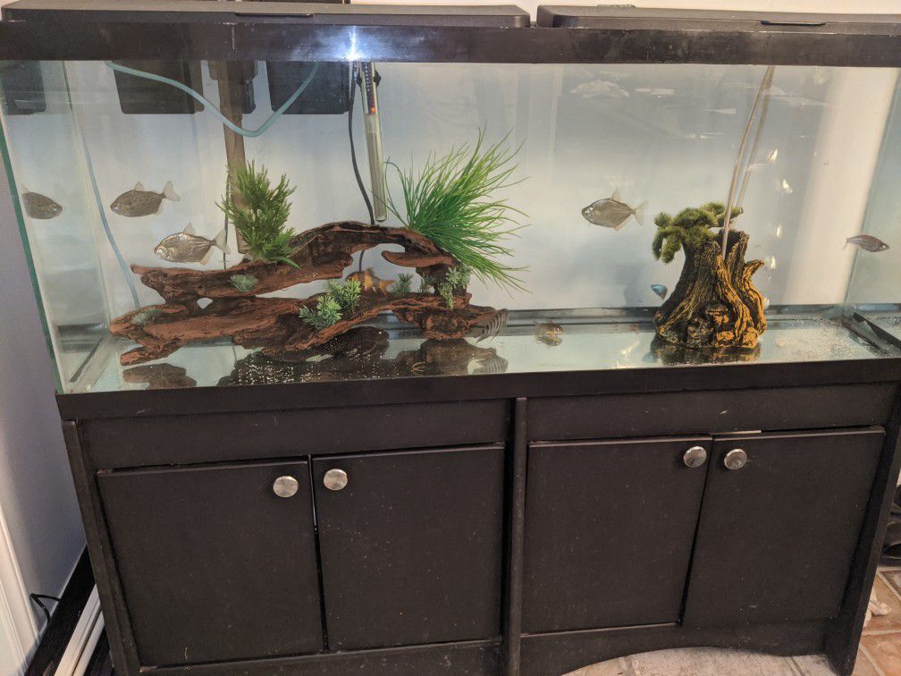 75 gallon fish tank including stand extras whisper air filter system in good condition $220 text Mike at {contact info removed} thank you