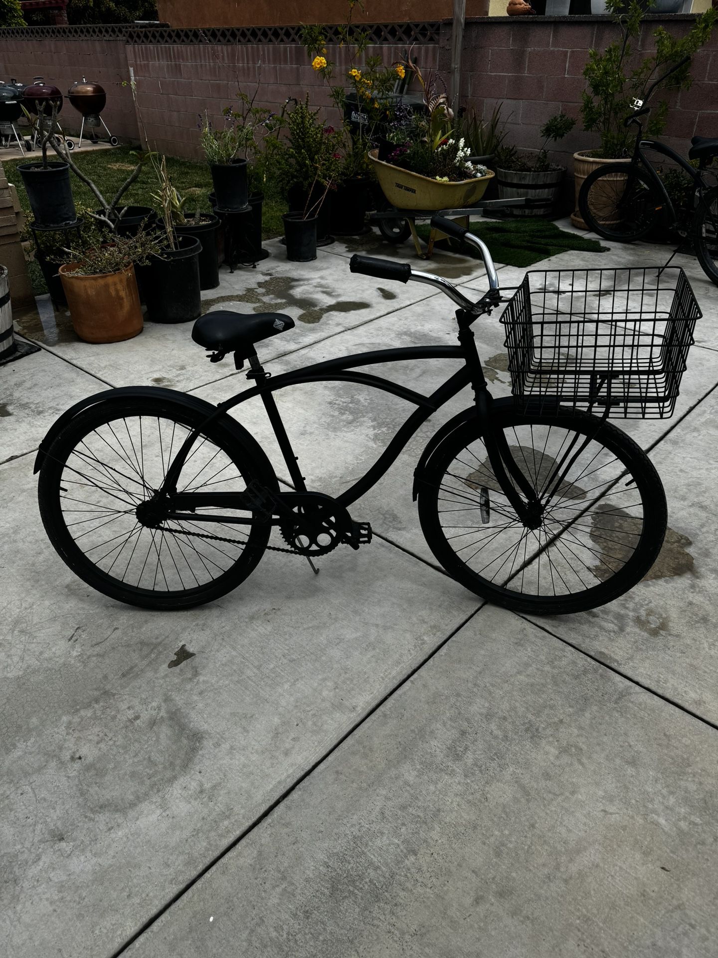 Cruiser Bike