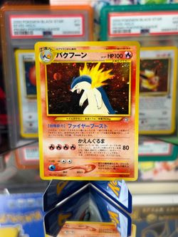 Typhlosion, feraligatr, meganium Japanese Neo