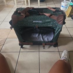 Petsee/ Green /brown 3 Feet Tall 