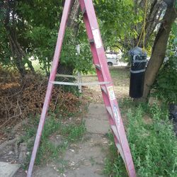 8 Ft Ladder