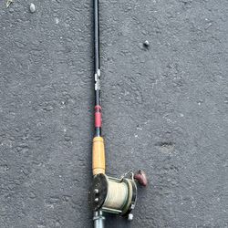Ocean fishing Rod  used  great catches with this pole 