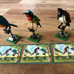 Apostrophe Games-Birds Model Building Block Kit