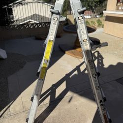 Gorilla 22’ Ladder 