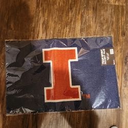 University Of Illinois Team Spirit Accent Rug Size 19.375in X 30in