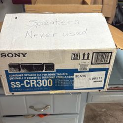 Sony Surround Speakers