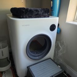 Set Whole Thing Cat N Accessories