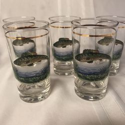 Bass Or Trout Barware Tumblers 10oz (5each)