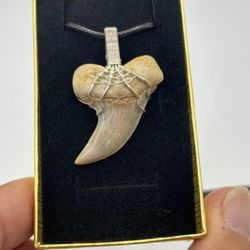 Shark Tooth Necklace Custom- Mako Shark Tooth Sterling Silver 
