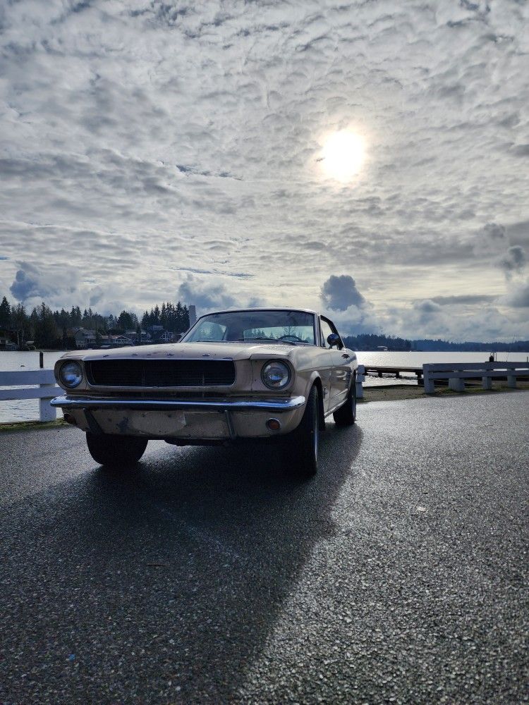 1966 Ford Mustang