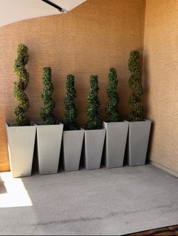 Four large trees and two small ones