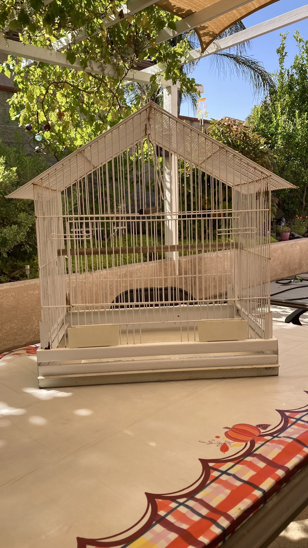 Bird Cage 