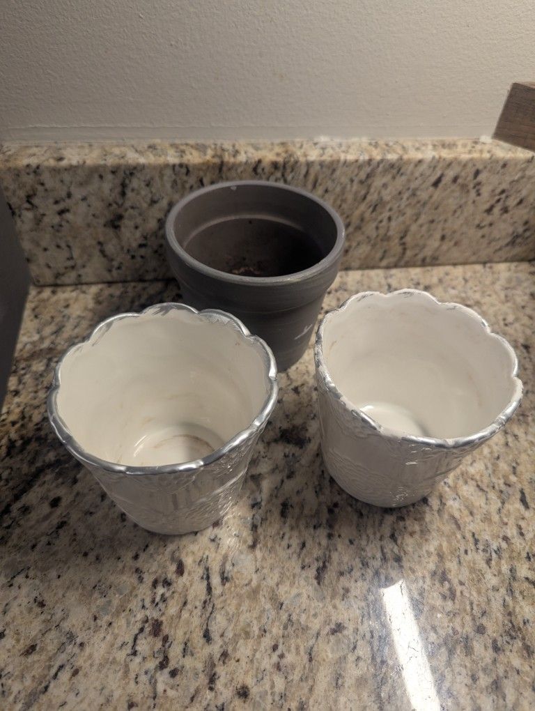 Pot Plants