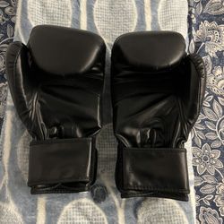 Sanabul Boxing Gloves 16oz