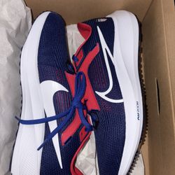 Nike Air Zoom Pegasus 40 TEAM USA Size 9M