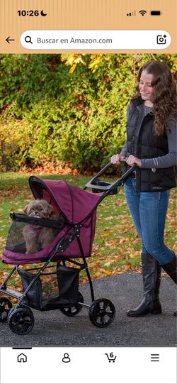 Coche sito para perros