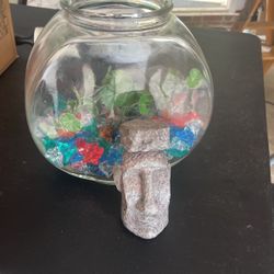 Used Gallon Fish Bowl