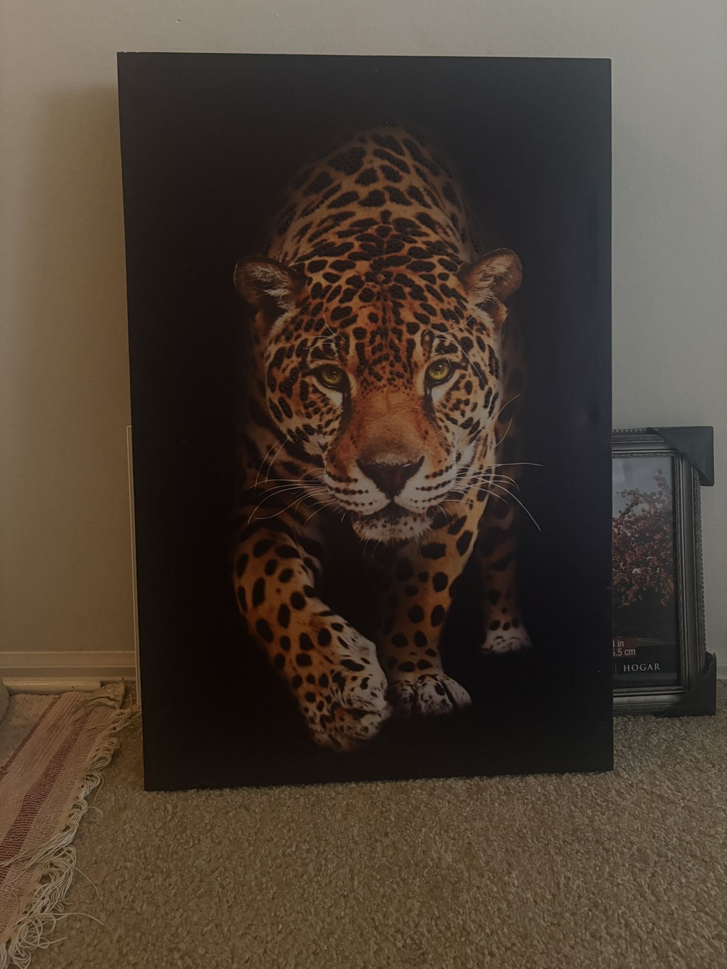 Painting Cavan