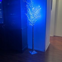 Tree Light up 