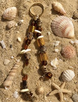 Seashells