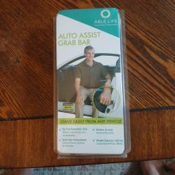 Auto Assist Grab Bar