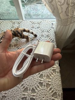 New Dual Port USB-C and USB-A Wall Charger with USB-C Cable