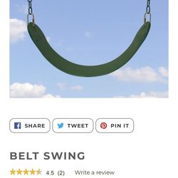 Belt Swings