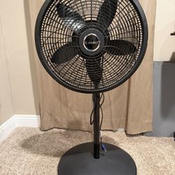 Standing 3 Speed Fan 