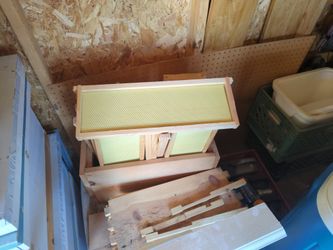 6 In Bee Frames With Foundation 
