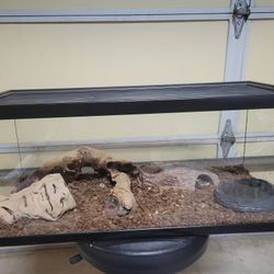 Reptile Tank