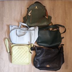 5 Women's Handbags And Purses (Coach, Steve Madden And Tote & Carry)