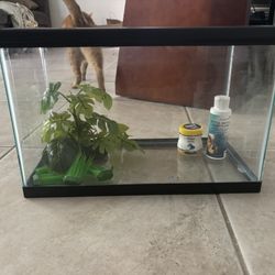 16” X 8” Fish Tank 