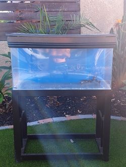 Aquarium / Fish Tank