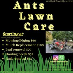 Ants Lawn Care
