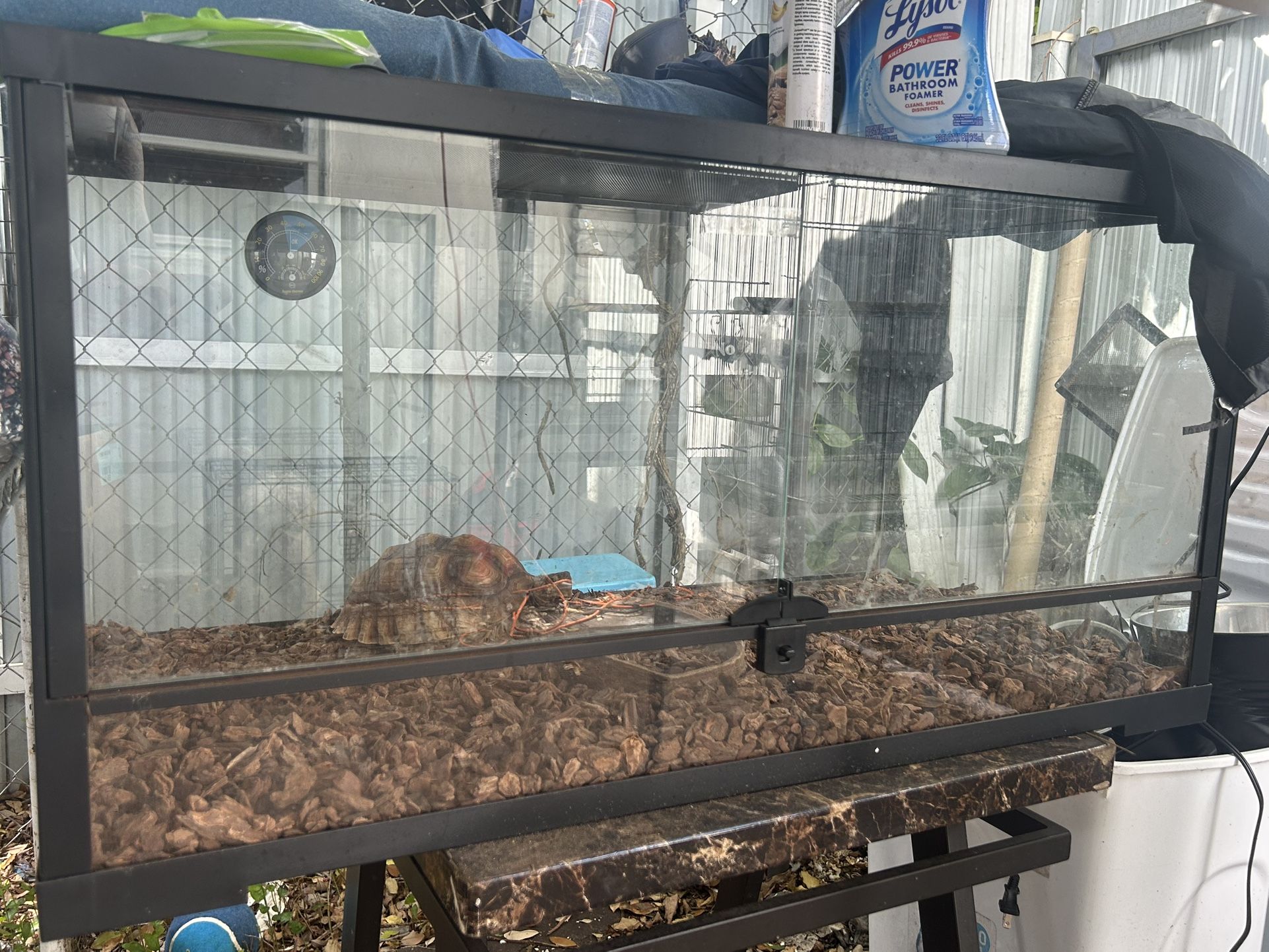 Reptile Tank