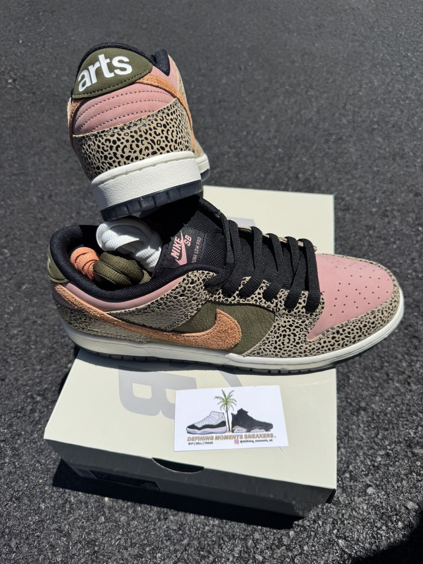 Nike SB Dunk Low Pro Arts Rec Size 13