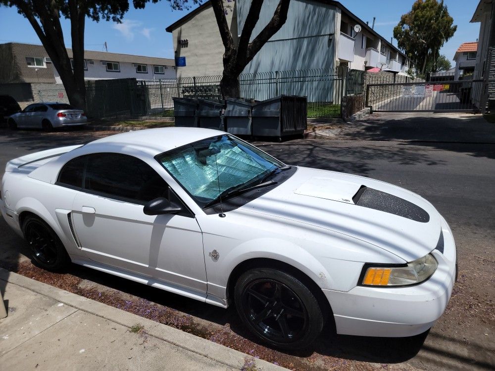 1999 Ford mustang