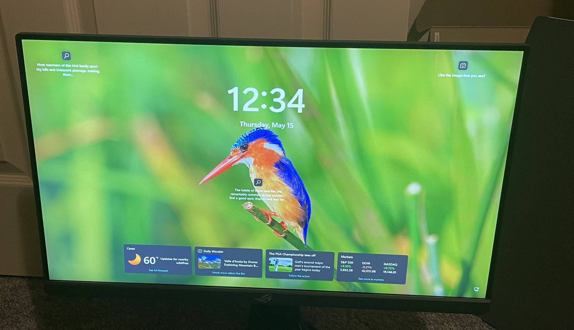 Asus Rog 380hz/360hz Gaming Monitor