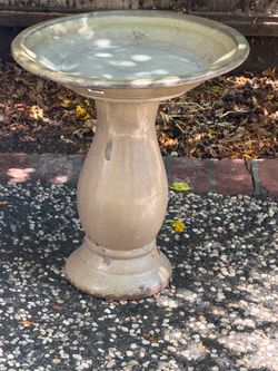 Bird Bath