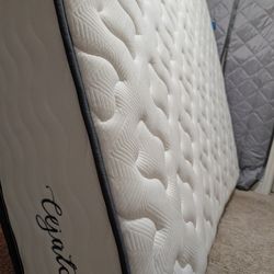 Queen Mattress 