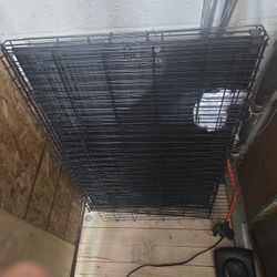 Dog Cage Big