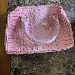 Pink Crocodile Purse