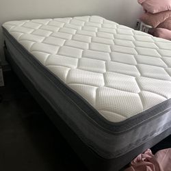 Queen Bed W/ Bed Frame 