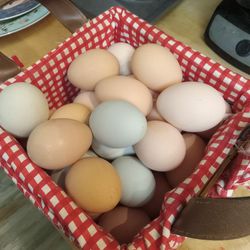 Fresh  Eggs, 12 For 3dollars 18 For 4dollars