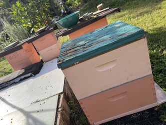 Se Vende Miel De Abeja Tedien Sacada Del Cajón