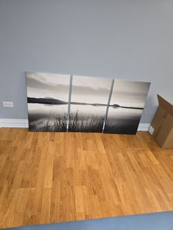 3 Pc Canvas Wall Art