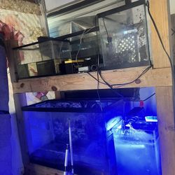Aquariums Fish Tanks 