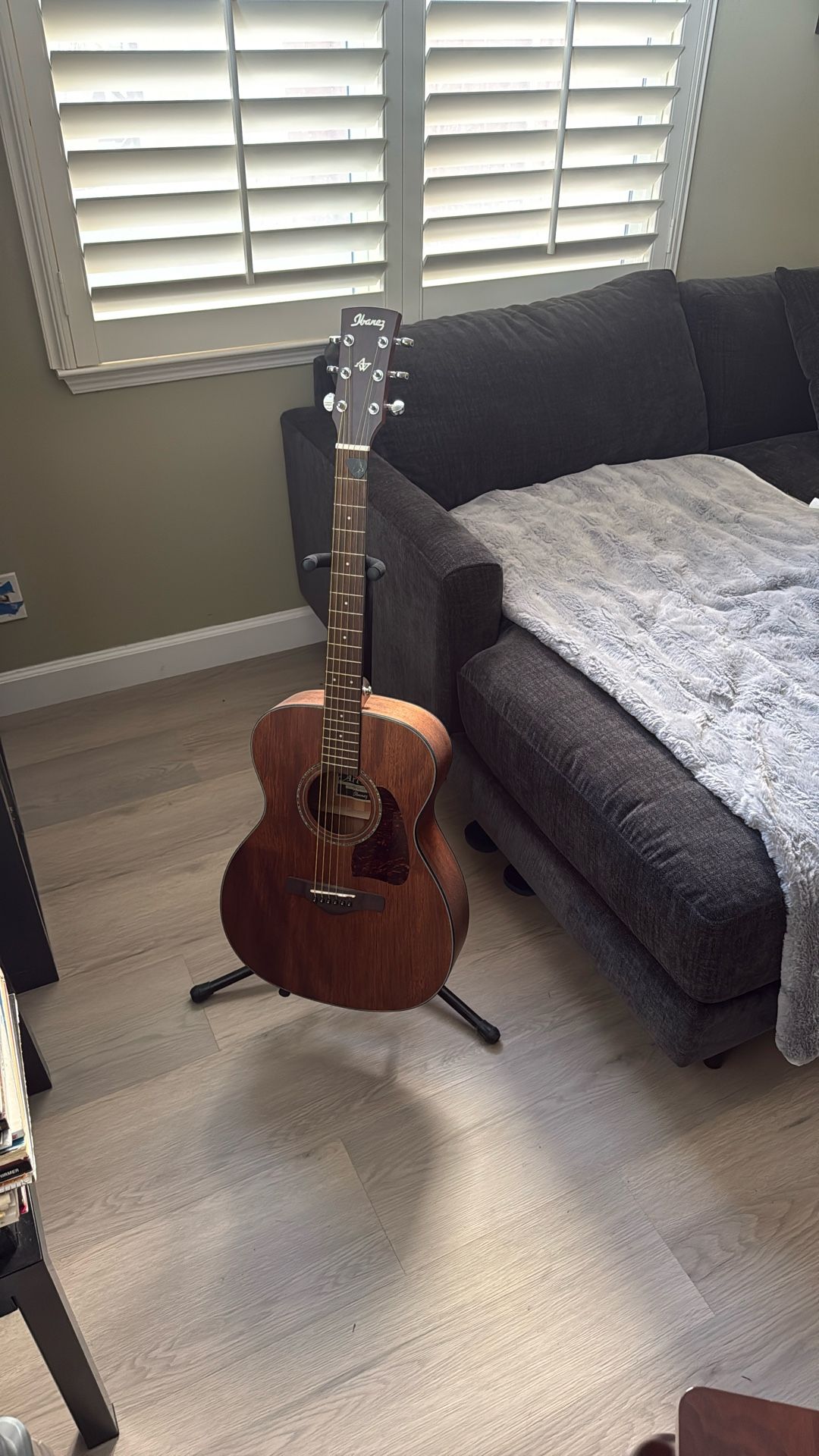 Ibanez Acoustic guitar