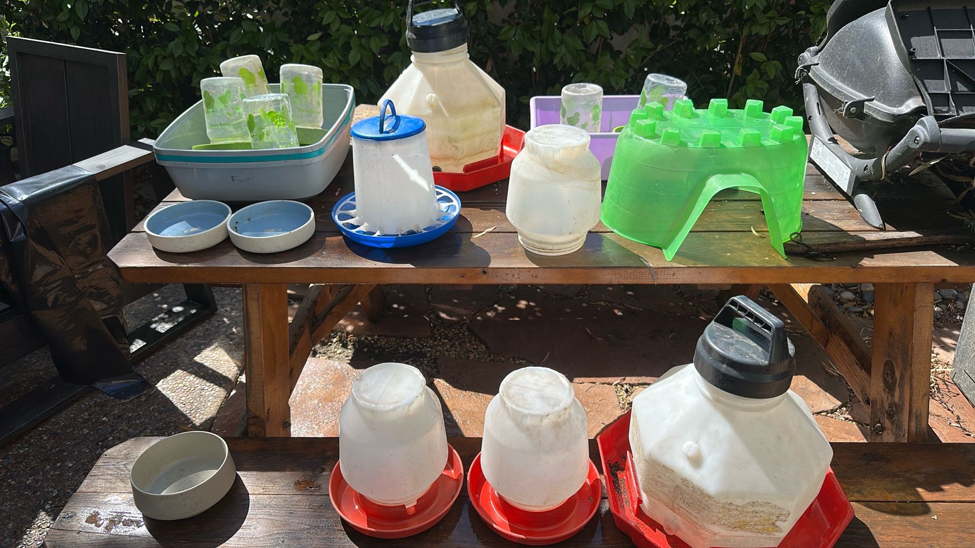 Pet Feeders Free